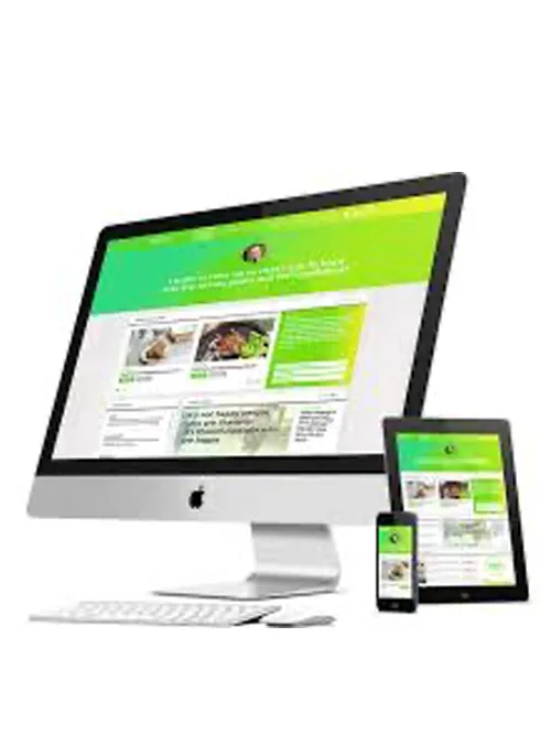 tiye solutions Responsive Web Design in Egypt